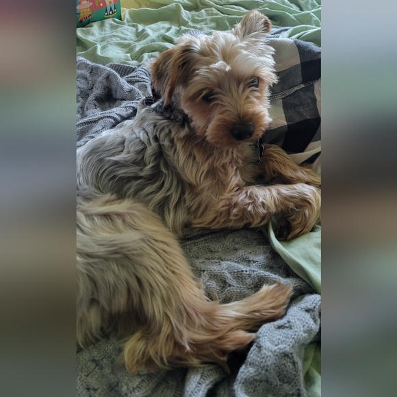 30% OFF 3+ ITEM BUNDLES - Picture 4 of 5